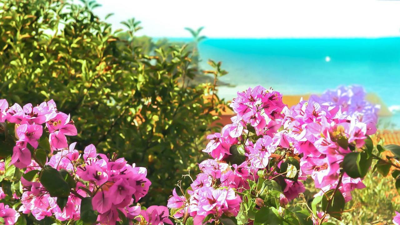 ראב Adria Arba Apartments מראה חיצוני תמונה